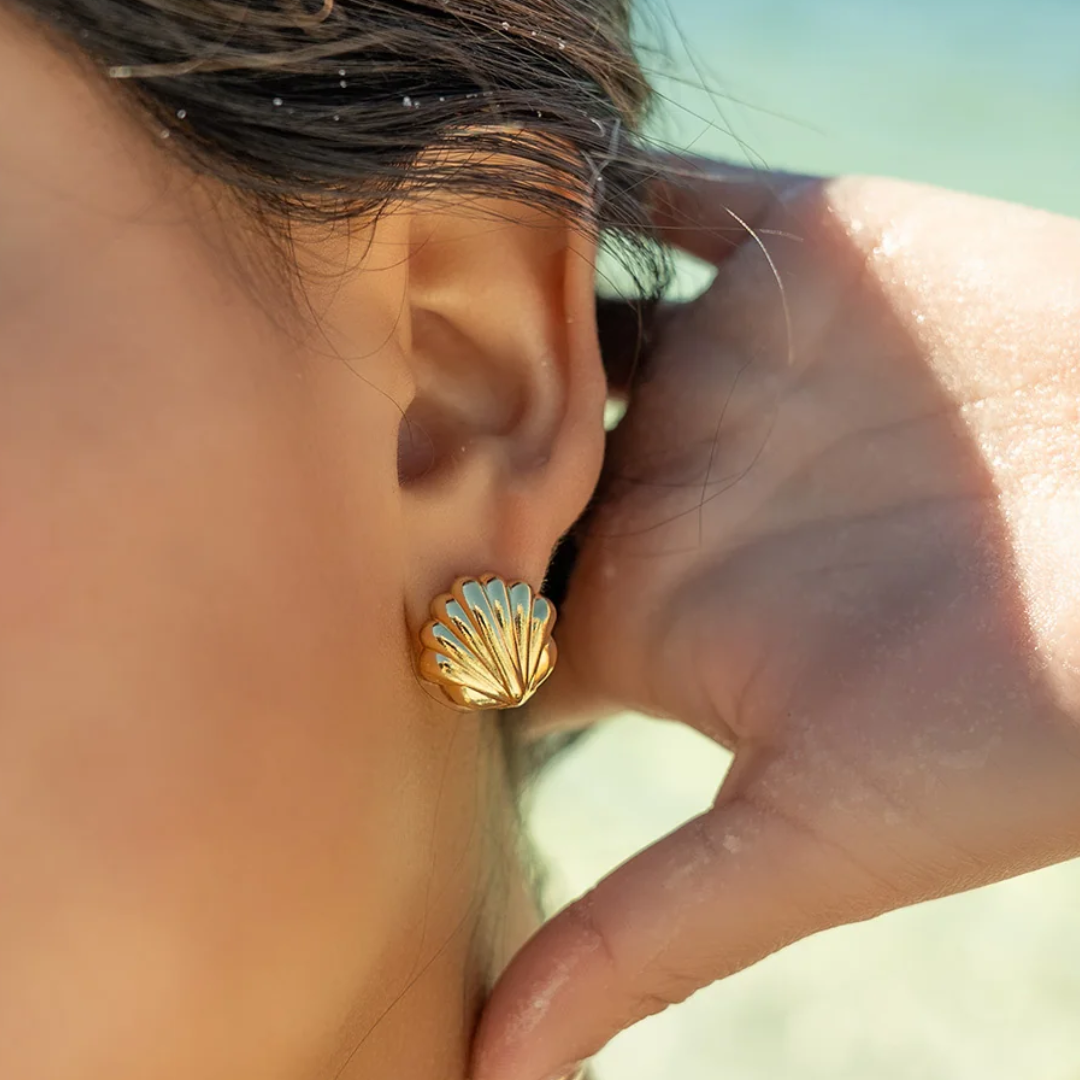 Shell Huggie Earrings